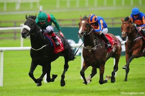 idaho horse racing betting|Idaho Betting.